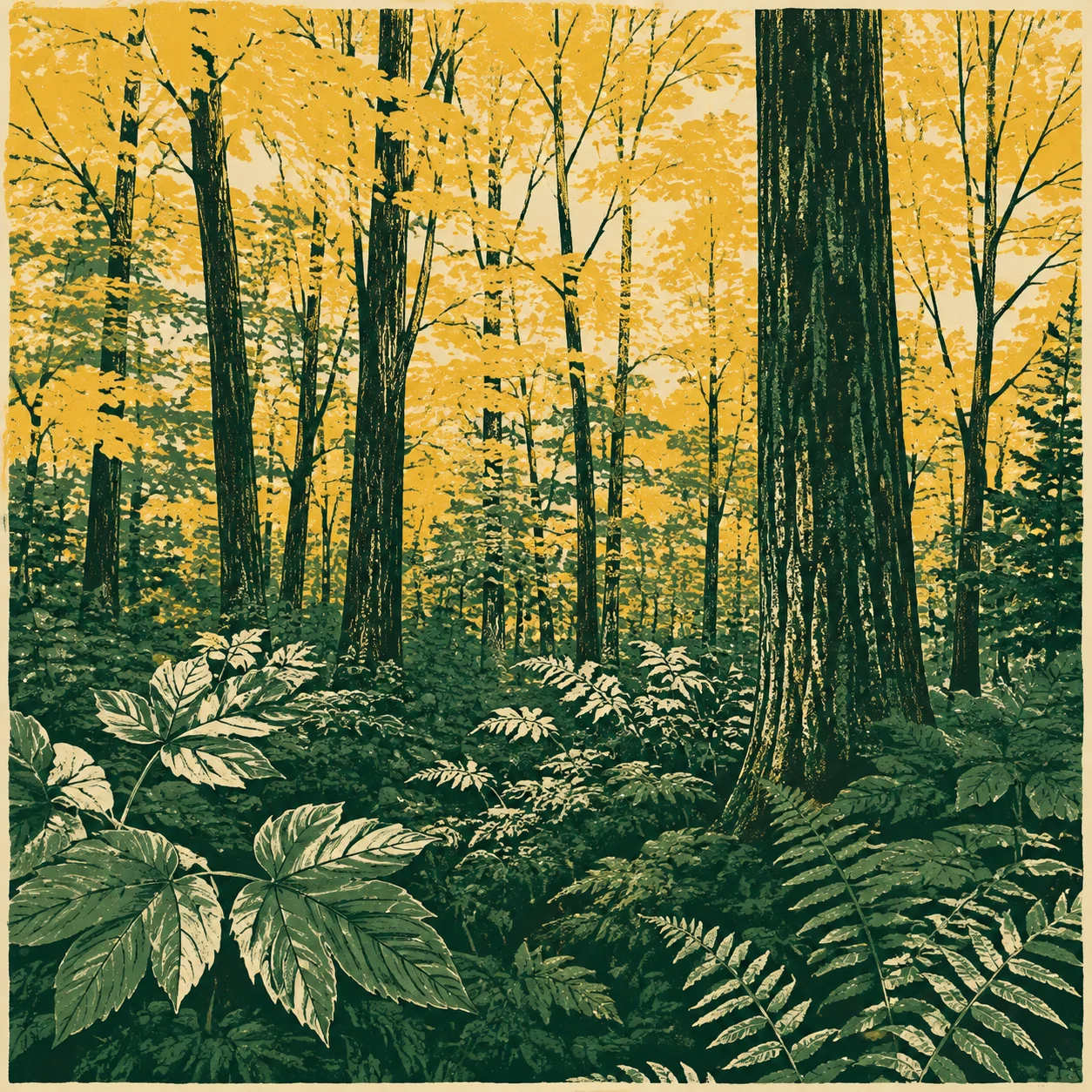 Golden autumn foliage above green understory