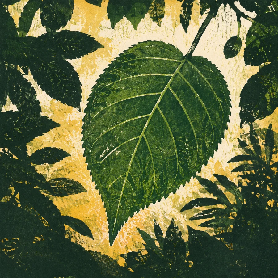 A green leaf framed by shade